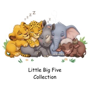 Little Big Five Sleep Tee - Storybook Edition Design