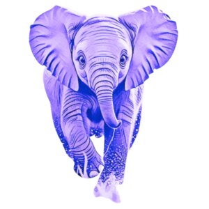 Purple Elephant Ladies Short Sleeve T-Shirt Design