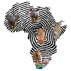 Kids Long Sleeve Tee - Little Big Five Africa Design