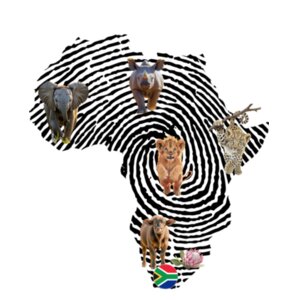 Kids Hoodie - Little Big Five Africa Design