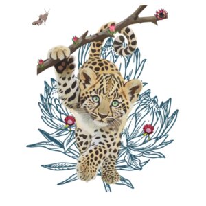 Kids Long Sleeve Tee - Little Big Five Leopard Design